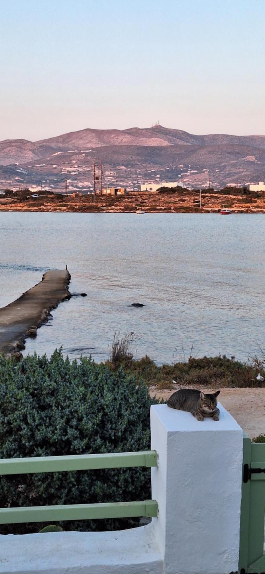 Ferienwohnung Mike'Place Antiparos Town Exterior foto